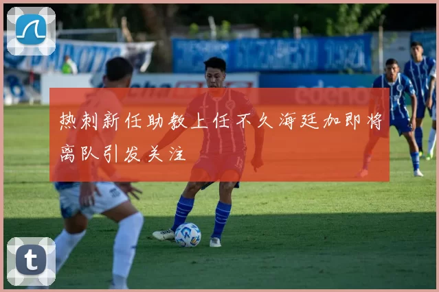 热刺新任助教上任不久海廷加即将离队引发关注