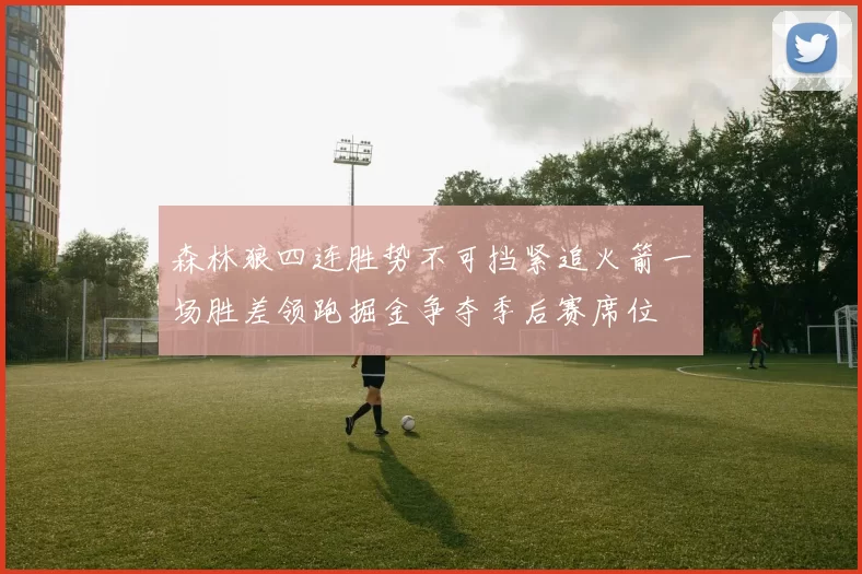 森林狼四连胜势不可挡紧追火箭一场胜差领跑掘金争夺季后赛席位