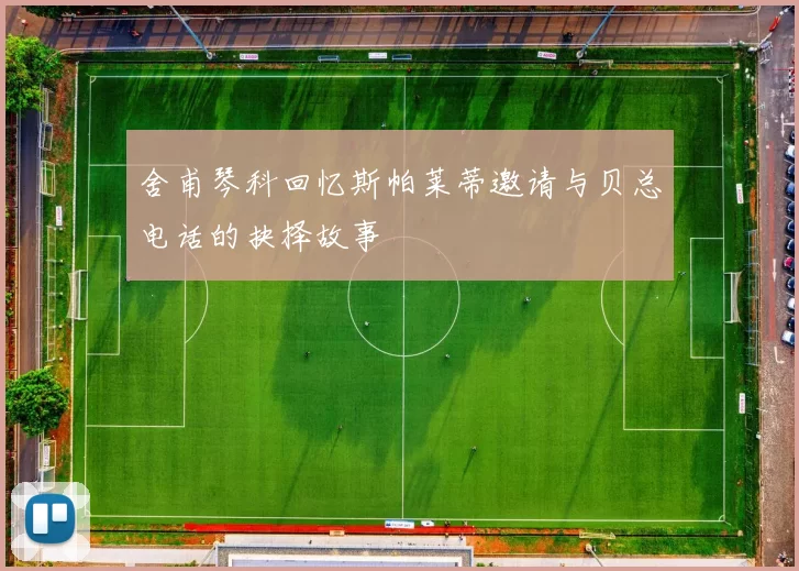 舍甫琴科回忆斯帕莱蒂邀请与贝总电话的抉择故事