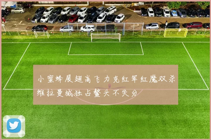 小蜜蜂展翅高飞力克红军红魔双杀维拉曼城独占鳌头不失分