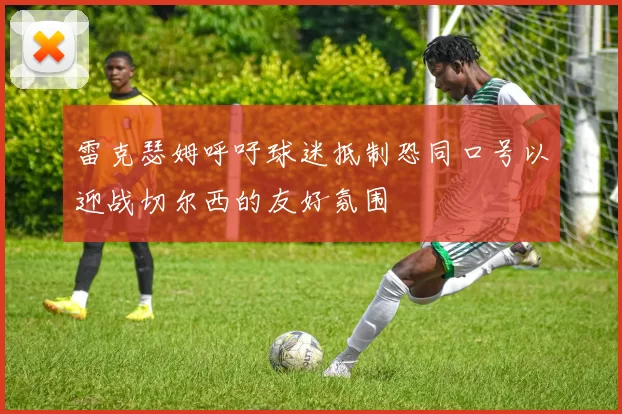 雷克瑟姆呼吁球迷抵制恐同口号以迎战切尔西的友好氛围